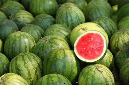 吃瓜用大勺子,畅享夏日清凉新体验