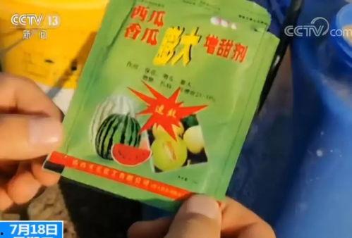 吃瓜群众的包装,揭秘“吃瓜群众”背后的网络现象与心理解读