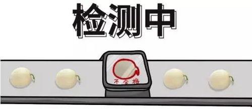 群众留言吃瓜问题,吃瓜问题引发社会关注，揭秘背后真相