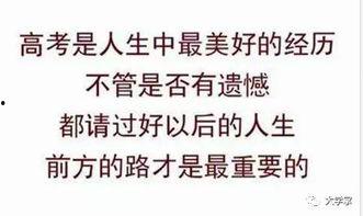 书名《吃瓜群众在七零》,吃瓜群众的欢乐时光