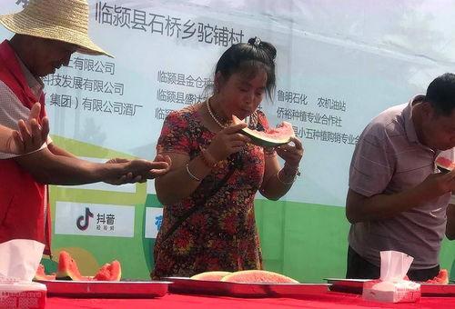 怎样举办吃瓜大赛,一场别开生面的吃瓜大赛盛况全记录