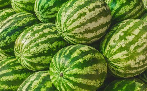 福州最近吃瓜新闻,一场吃瓜盛宴背后的故事