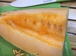 柳州人讲吃瓜是什么意思,柳州方言中的“吃瓜”文化解读