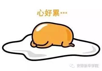 骗别人吃瓜,揭秘那些诱人瓜子的背后真相