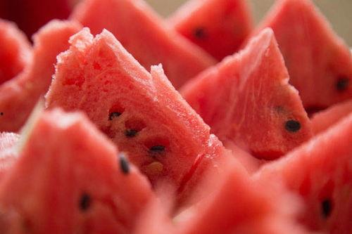 吃瓜能量守恒,揭秘瓜界能量流转之谜