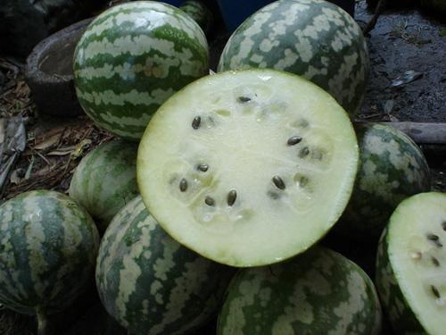 怎么样可以吃瓜,如何轻松成为瓜界高手