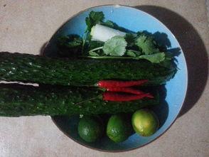 酸瓜梗怎么吃,家常美味制作指南