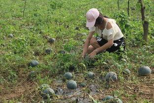 户外挑战吃瓜,吃瓜也能成为冒险新体验