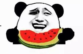 吃瓜群众女警,揭秘警界“女侠”的日常生活与传奇故事