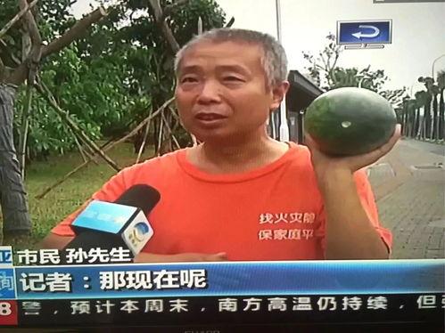 中缅大妈吃瓜事件,一场文化交流的误会与反思