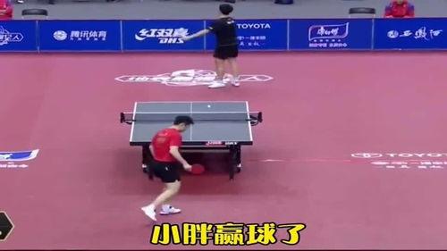 国乒内战教练吃瓜,教练对决背后的瓜田秘闻