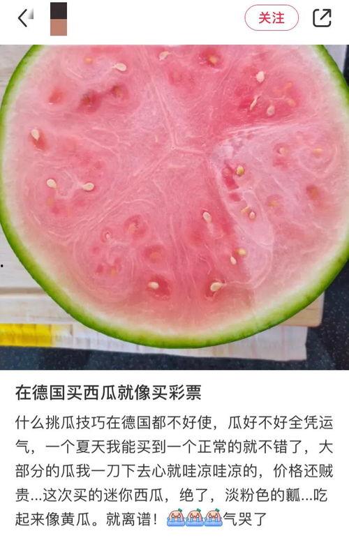 自由吃瓜的时候