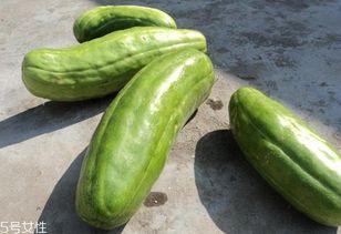 吃脆瓜能利水吗