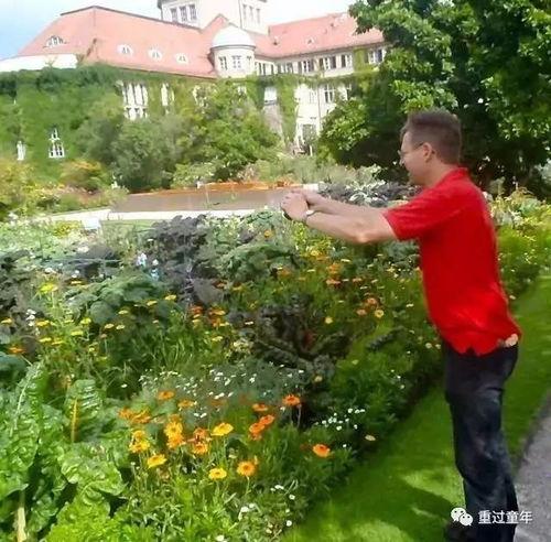 清风小镇吃瓜群,吃瓜群里的欢乐时光