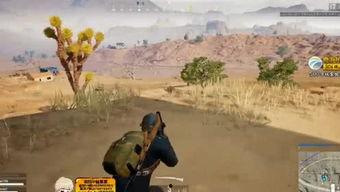 吃瓜弟营地,一场别开生面的网络狂欢盛宴