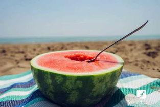 勺瓜怎样吃,从传统到创新