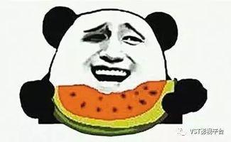 吃瓜演技,揭秘娱乐圈幕后“吃瓜”风云