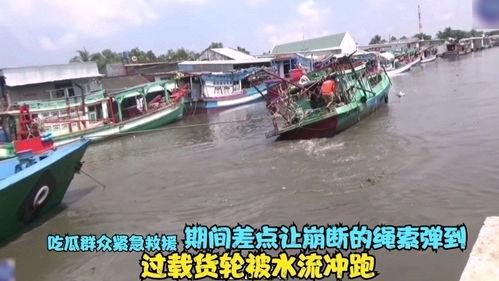 台湾渔船吃瓜群众,吃瓜群众的视角解读