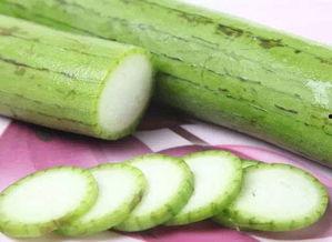 酉瓜虫吃不吃,探究其是否食用酉瓜