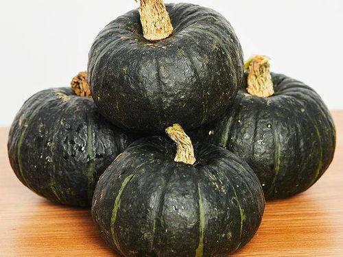 贝贝瓜鲜花怎么吃,贝贝瓜鲜花的多样食用指南