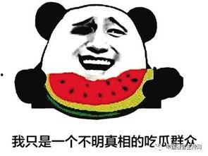 吃瓜群众的四字词,四字词背后的社会现象