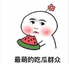 吃瓜群众没瓜了