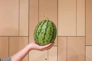 红玉能和蓝瓜一起吃吗,探寻食材搭配的奇妙之旅