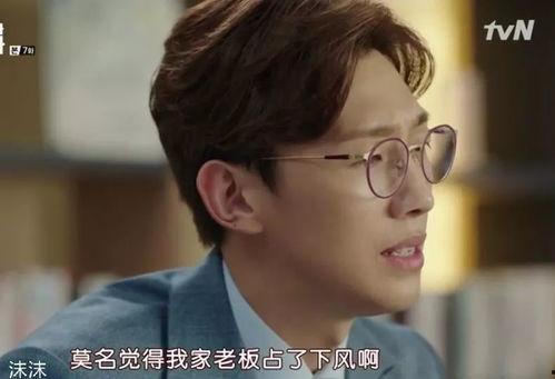 吃瓜会社长,揭秘娱乐圈幕后风云