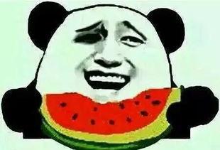 小黄化身吃瓜,揭秘娱乐圈幕后风云