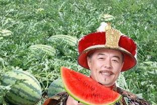 乾隆在路面吃瓜,吃瓜趣谈”