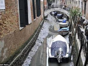 水城广场吃瓜事件,一场引发热议的街头冲突