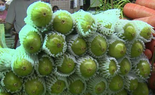 吃华法林能否吃葫芦瓜,食用指南与注意事项