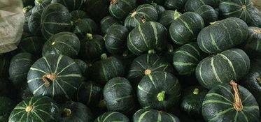 吃生黄化瓜降血糖,天然降糖佳品，守护健康生活